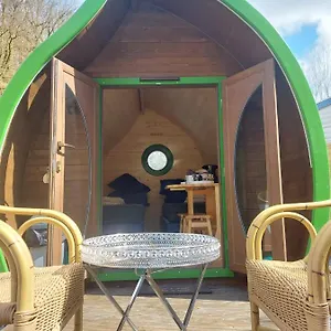  Camping Leaf